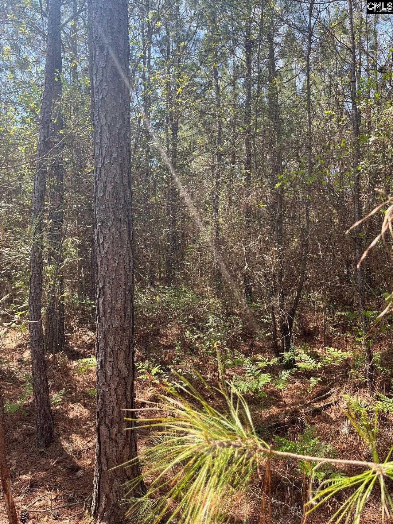 Bdf 3 Beaverdam Road  Photo 11