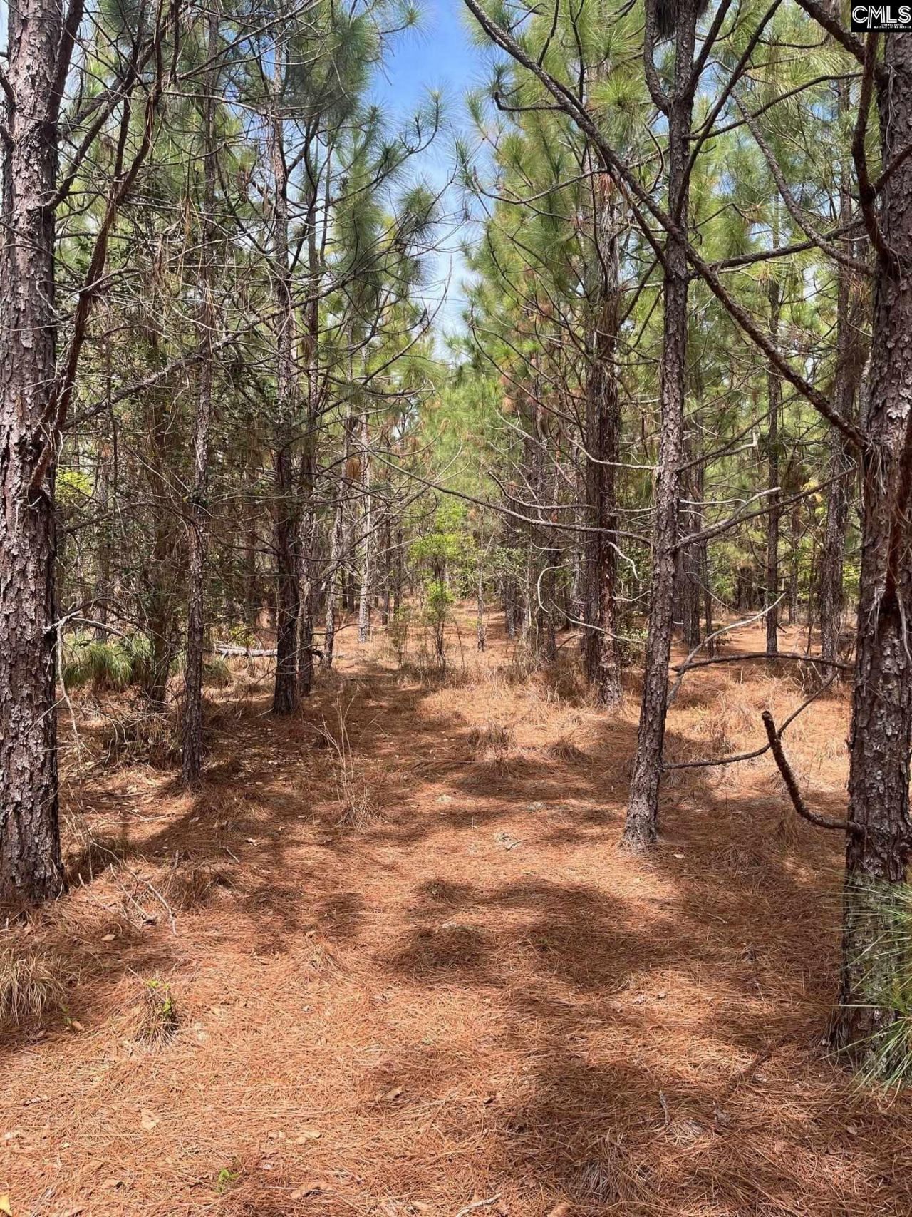 Bdf 3 Beaverdam Road  Photo 4