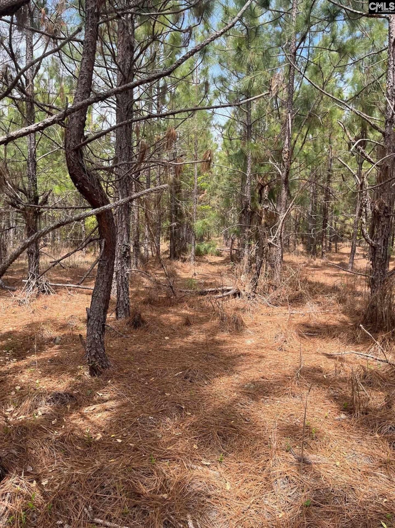 Bdf 3 Beaverdam Road  Photo 5