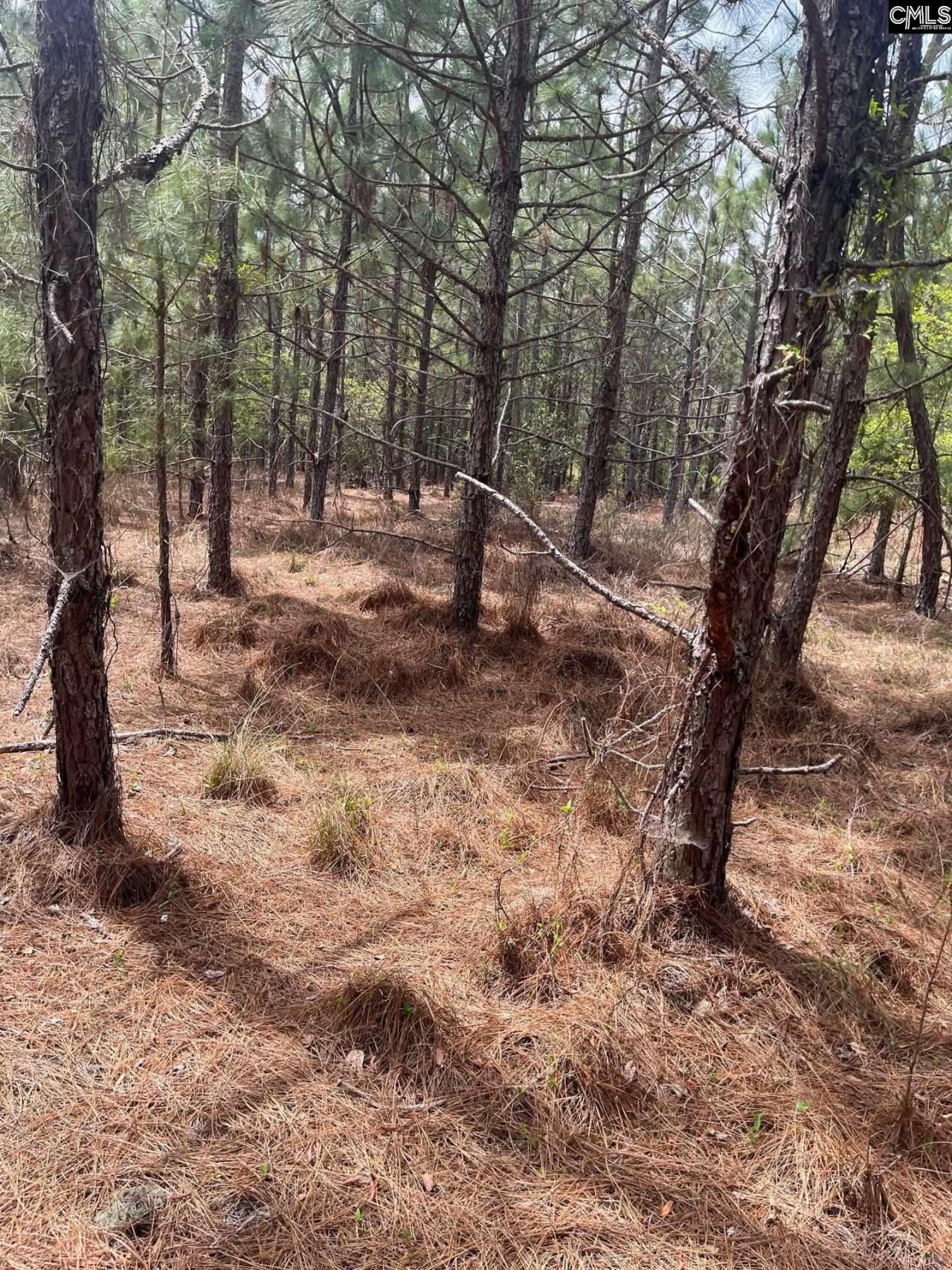 Bdf 3 Beaverdam Road  Photo 6