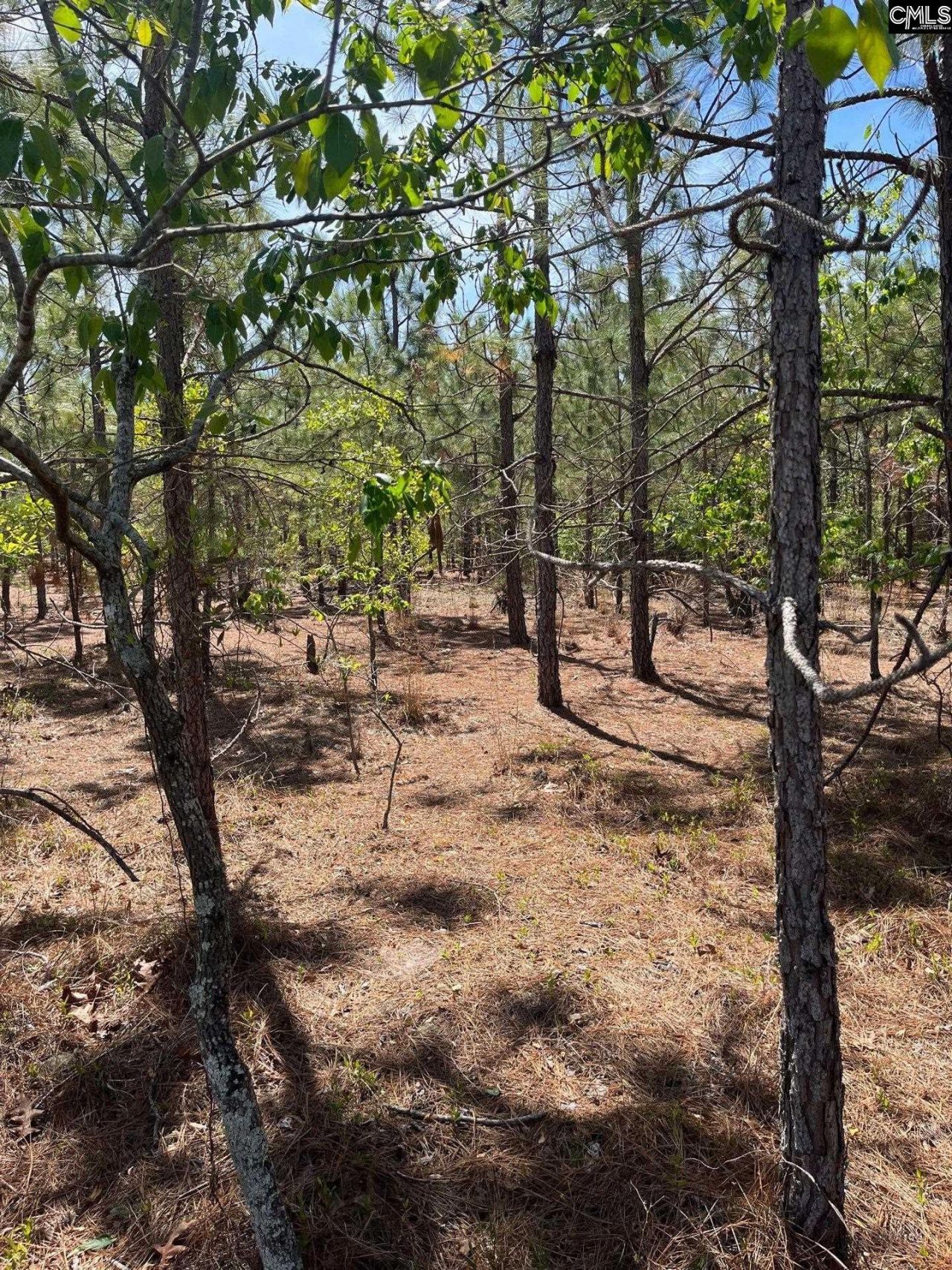 Bdf 3 Beaverdam Road  Photo 7