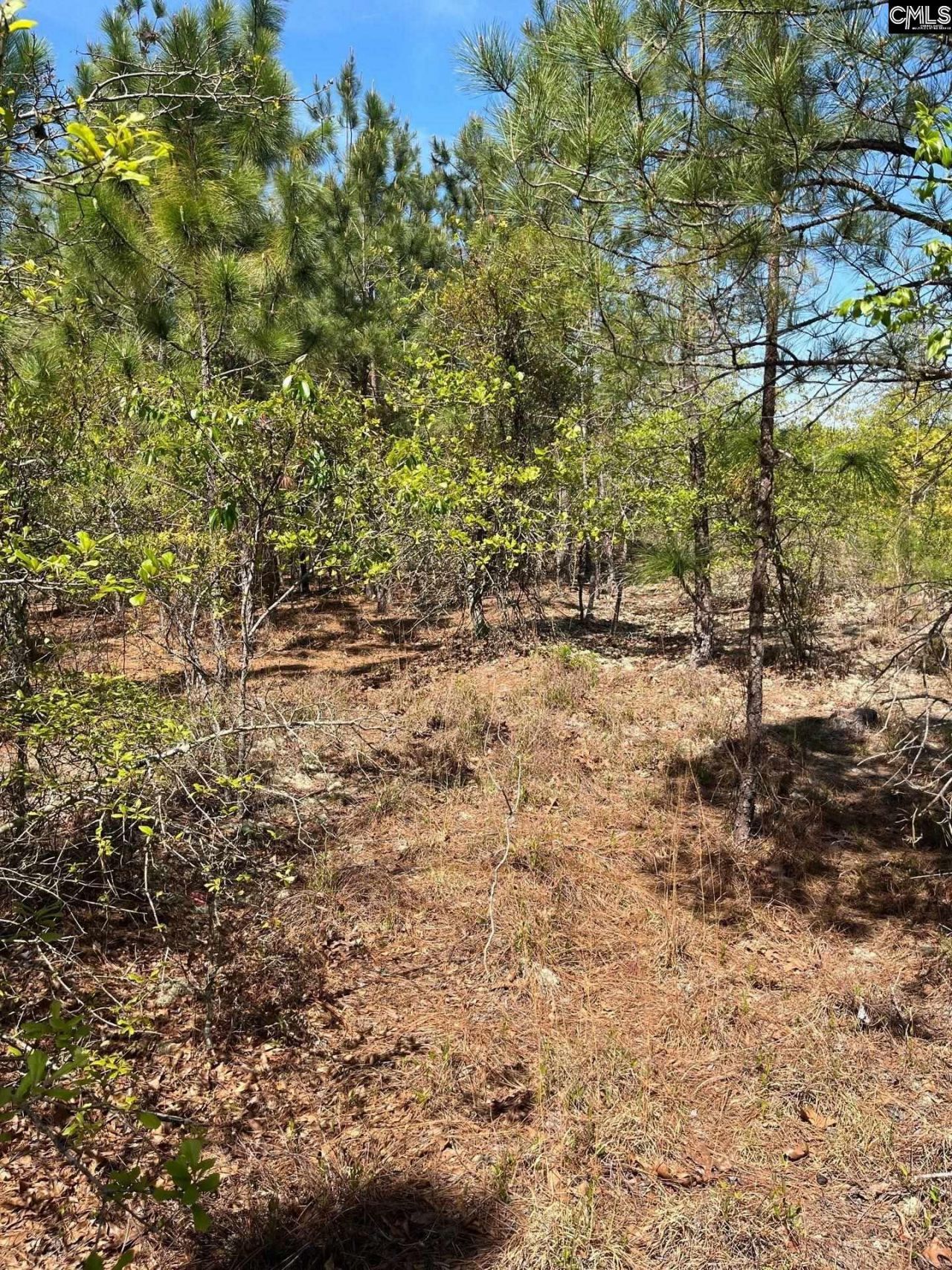 Bdf 3 Beaverdam Road  Photo 8