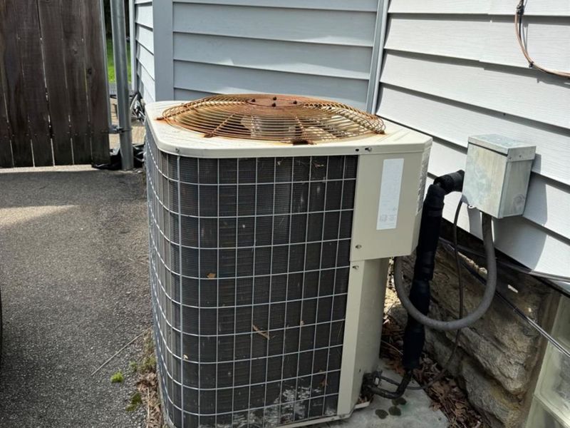 3811 Hazel Avenue, Norwood, OH 45212 Photo 18