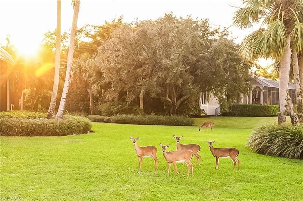 12614 Fenhurst Way , Naples, FL 34120 Photo