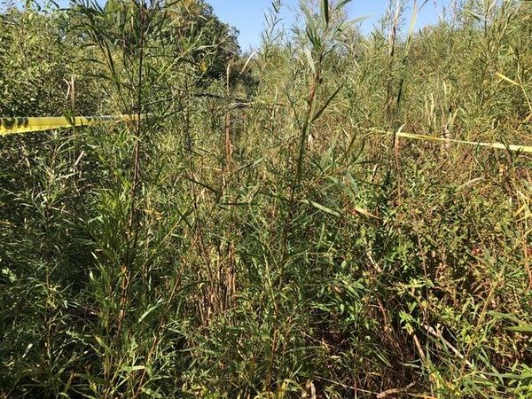 14 Alexandra Drive , Mettawa, IL 60048