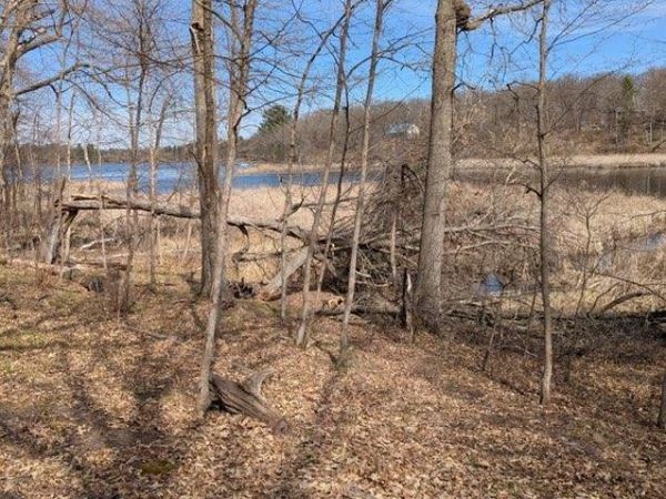 TBD Paradise Drive , Browerville, MN 56438