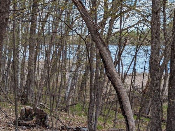 TBD Paradise Drive , Browerville, MN 56438