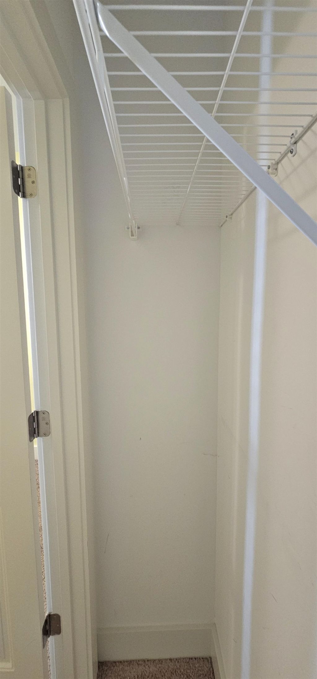 440 Shaftsbury Ln. Photo 38