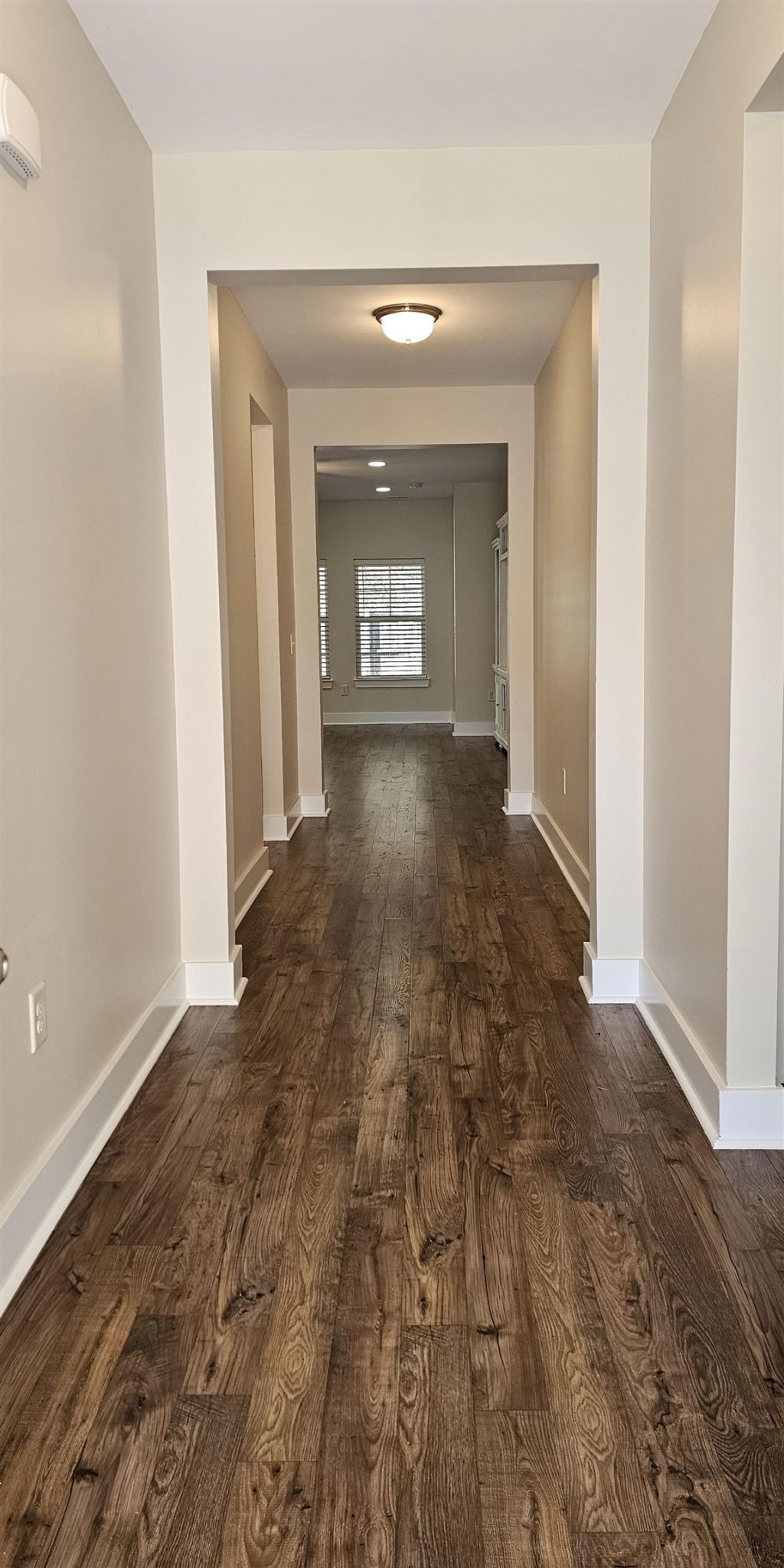 440 Shaftsbury Ln. Photo 6