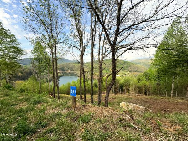 Lot 60 Cowan Town Road, Butler, TN 37640