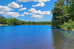 140 Woodbridge Drive  photo 4