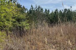 Bdf 4 Beaverdam Road photo 4