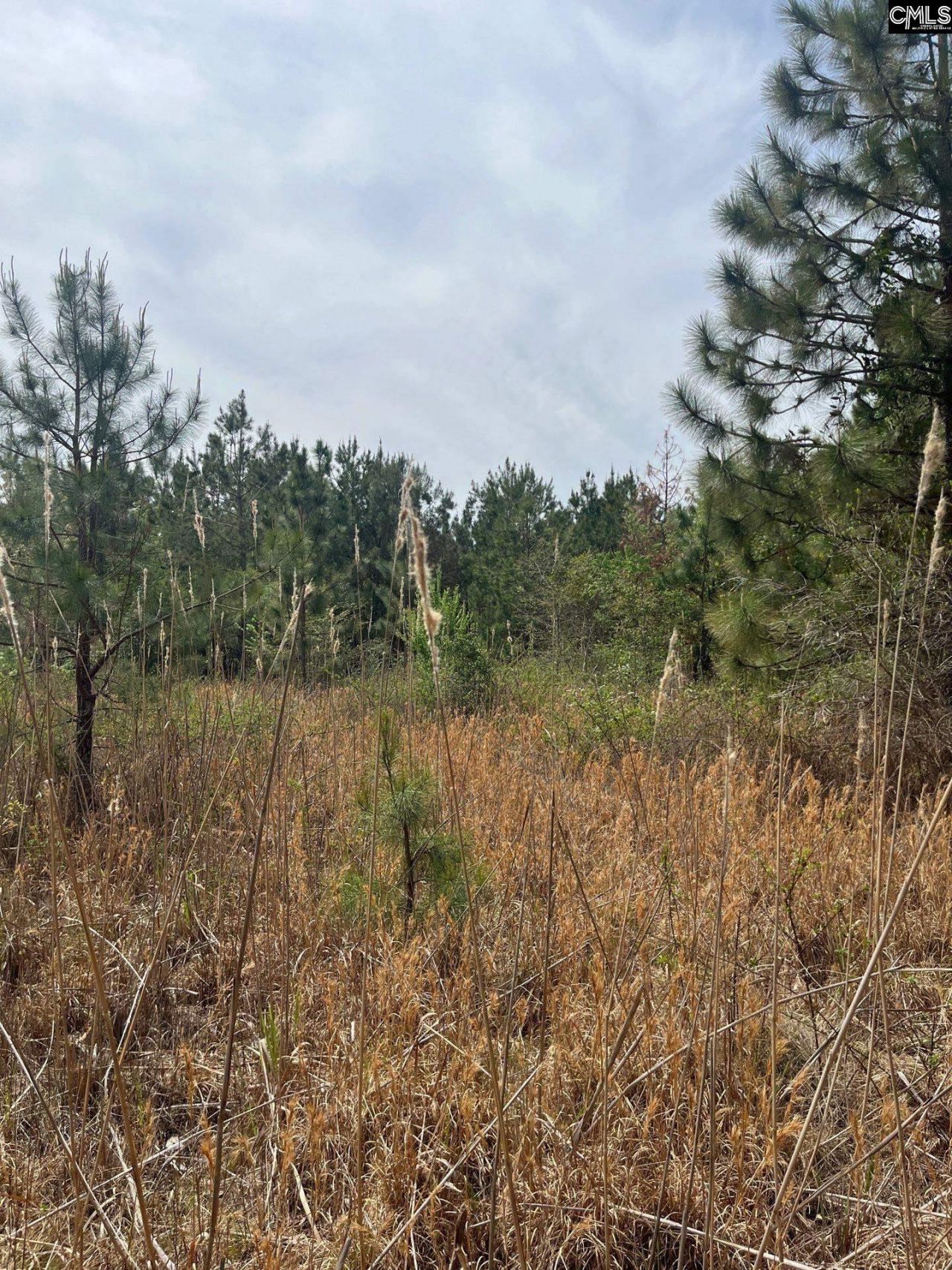 Bdf 4 Beaverdam Road Photo 4