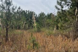 Bdf 4 Beaverdam Road photo 4