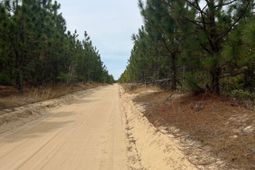 Bdf 4 Beaverdam Road photo 4