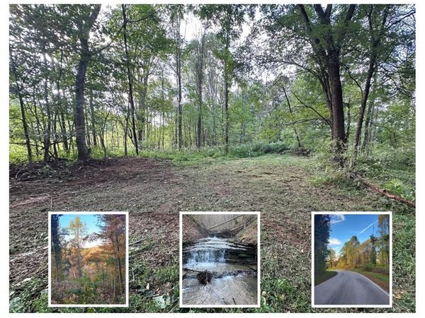 3087 Turkeytown, Hilham, TN 38568