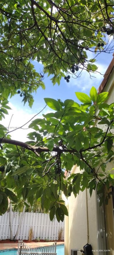 659 Verona Pl, Weston, FL 33326 Photo