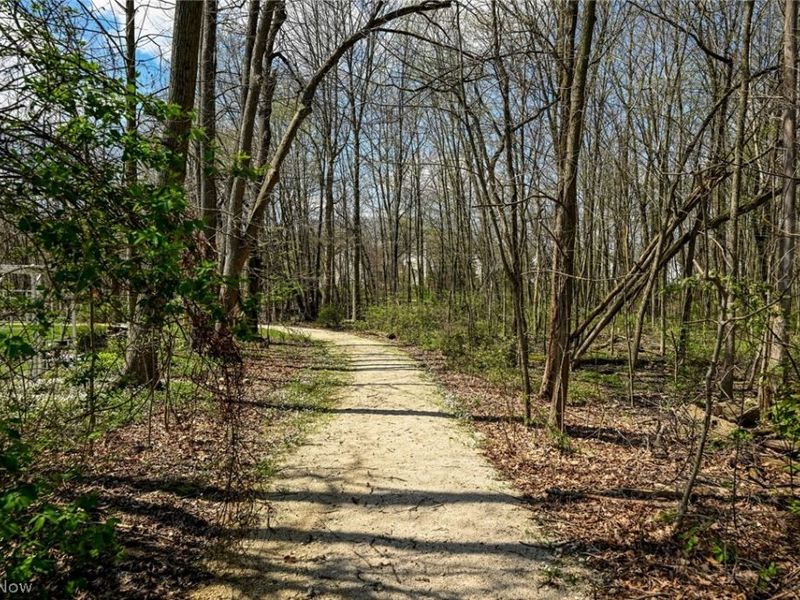 980 Queens Gate Way, Wadsworth, OH 44281 Photo 7