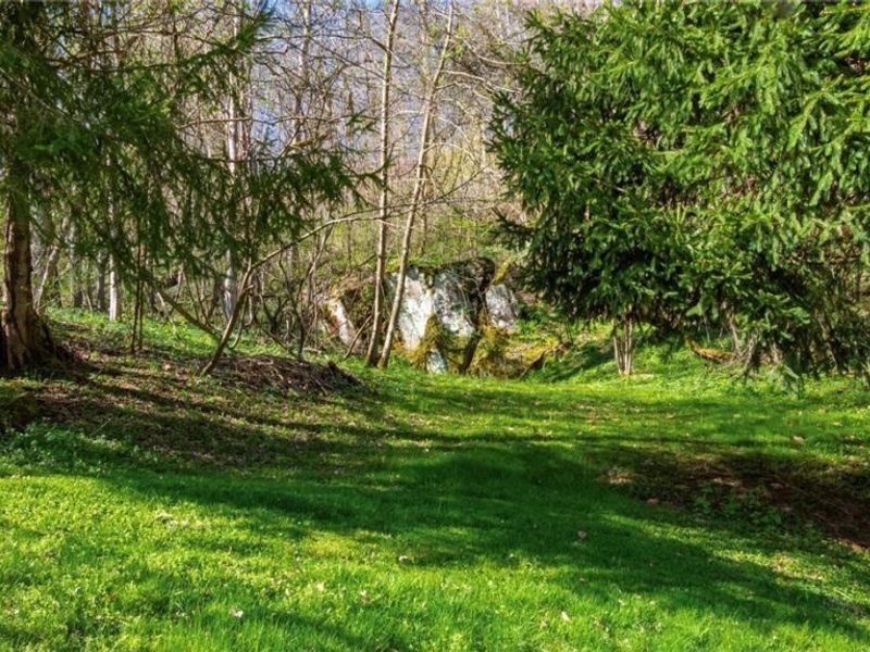 10155 Old River Road, Blue Rock, OH 43720 Photo 33
