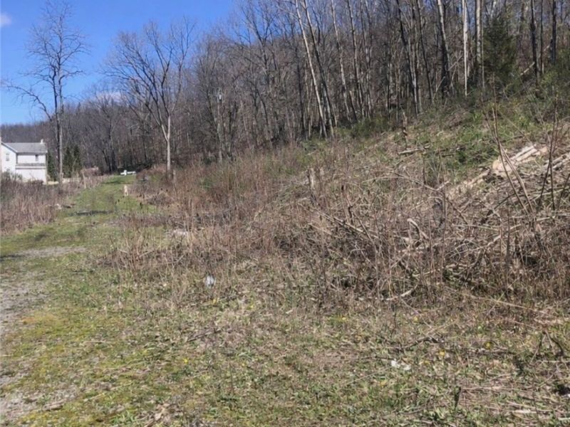 909 Lisbon Road , Salem, OH 44460 Photo 5