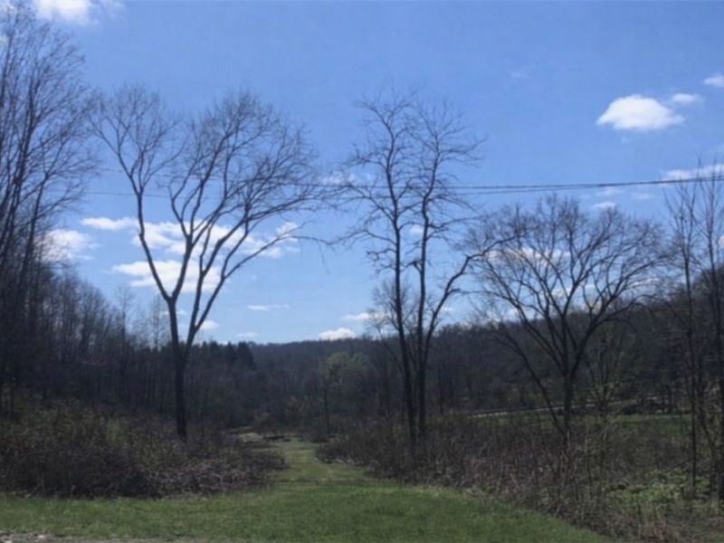 909 Lisbon Road , Salem, OH 44460 Photo 6