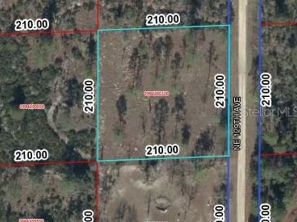 00 NE 129TH AVENUE , WILLISTON, FL 32696