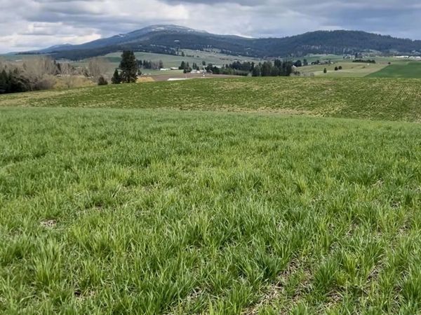 14906 S Madison Rd, Valleyford, WA 99036