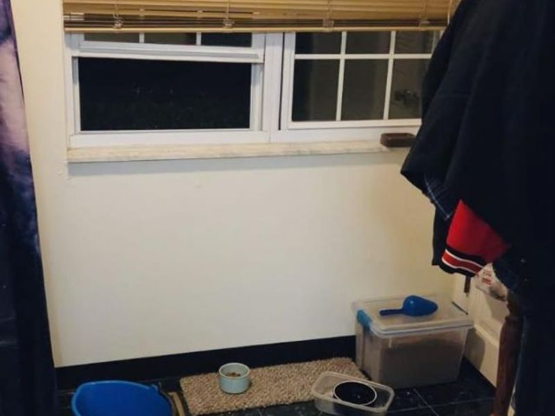 3608 Gamble Avenue, Cheviot, OH 45211 Photo 14