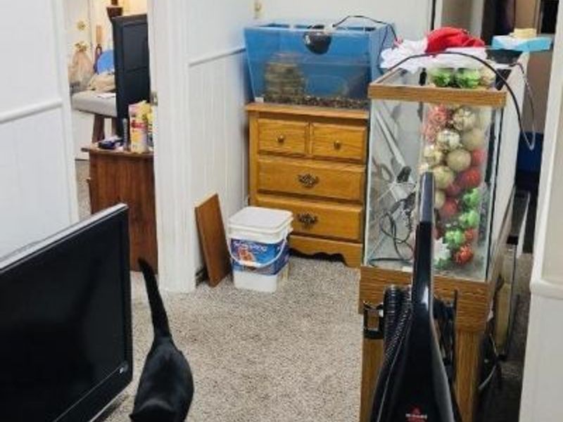 3608 Gamble Avenue, Cheviot, OH 45211 Photo 15