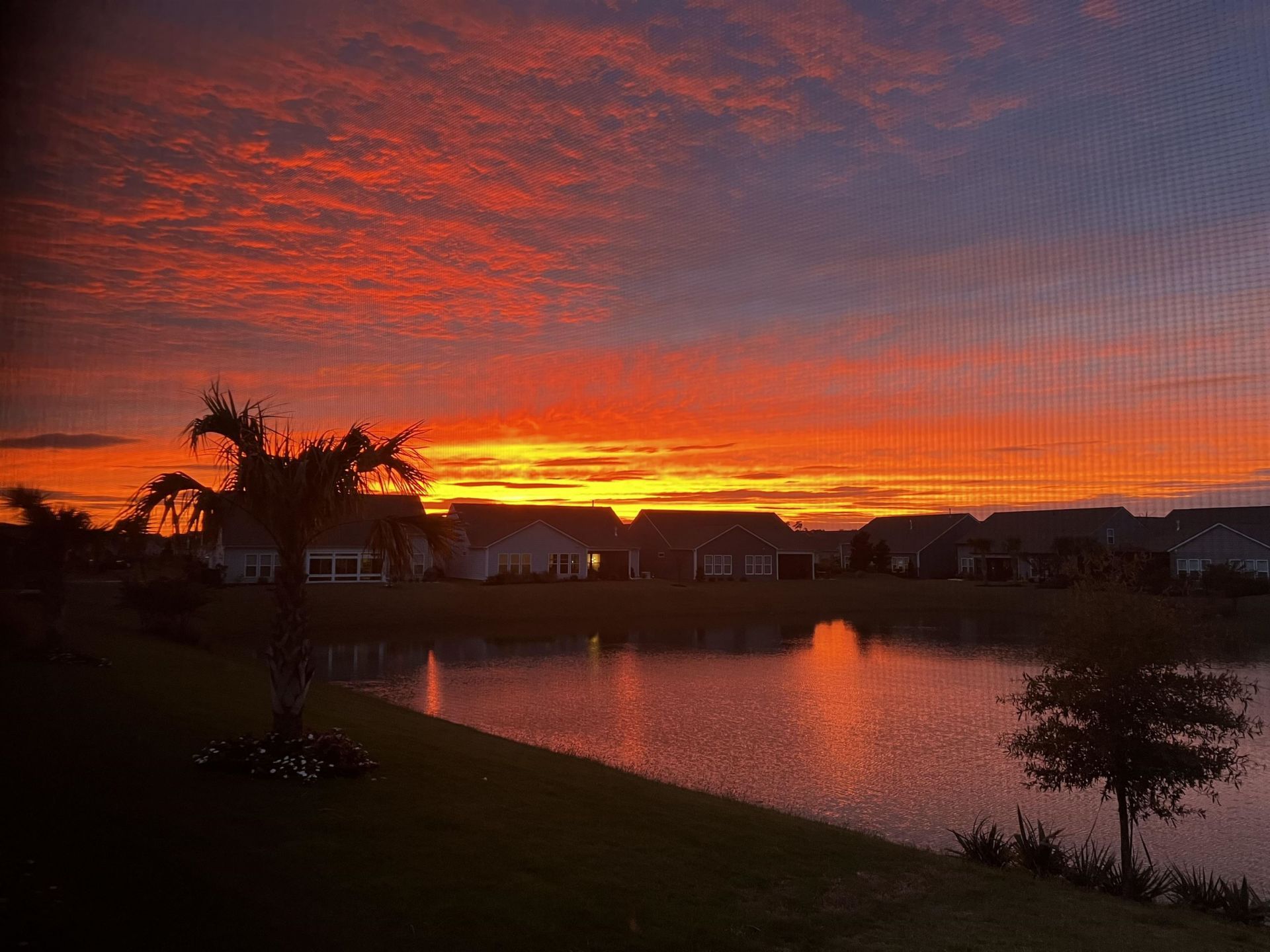 7239 Sarteano Dr.  Photo 32