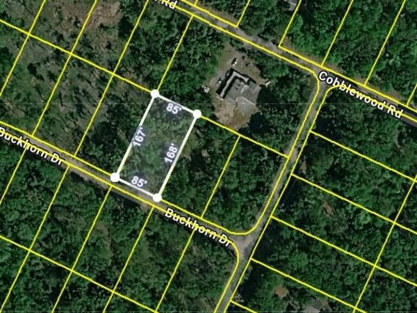 Lot 5 Buckhorn Drive , Newfoundland, PA 18445