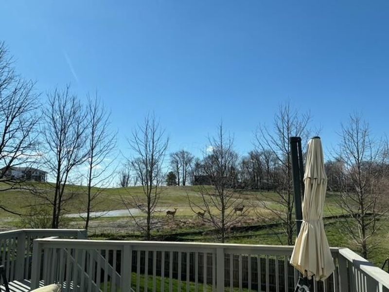 2184 Olde Ridge Court, Lancaster, OH 43130 Photo 48