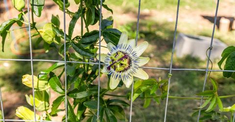 6731 5th St, Rio Linda, CA 95673 Photo