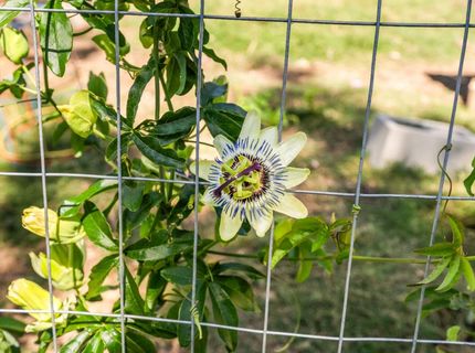 6731 5th St, Rio Linda, CA 95673 Photo