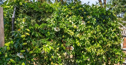 6731 5th St, Rio Linda, CA 95673 Photo