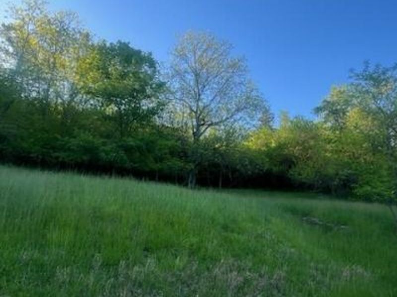 6357 Cecil Fields Road, Union, KY 41091 Photo 20