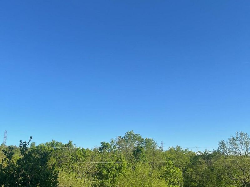 6357 Cecil Fields Road, Union, KY 41091 Photo 22