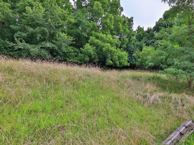 6357 Cecil Fields Road, Union, KY 41091 Photo 24