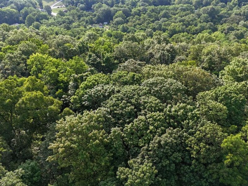 6357 Cecil Fields Road, Union, KY 41091 Photo 29