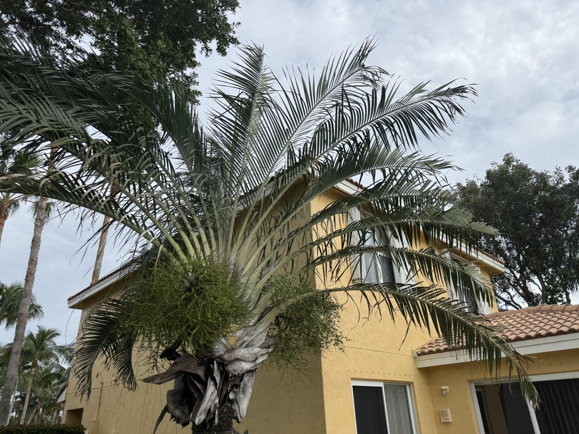 3472 Commodore Court, West Palm Beach, FL 33411 Photo