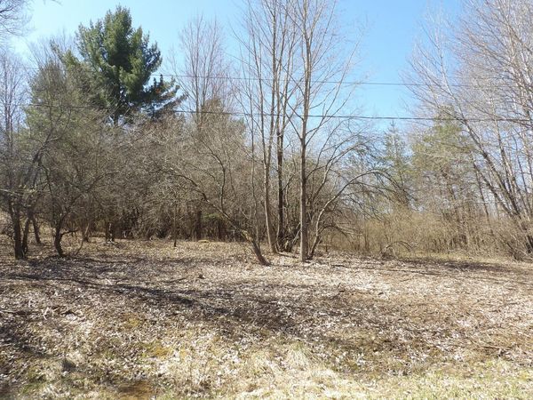 23094 Apache Trail, Evart, MI 49631