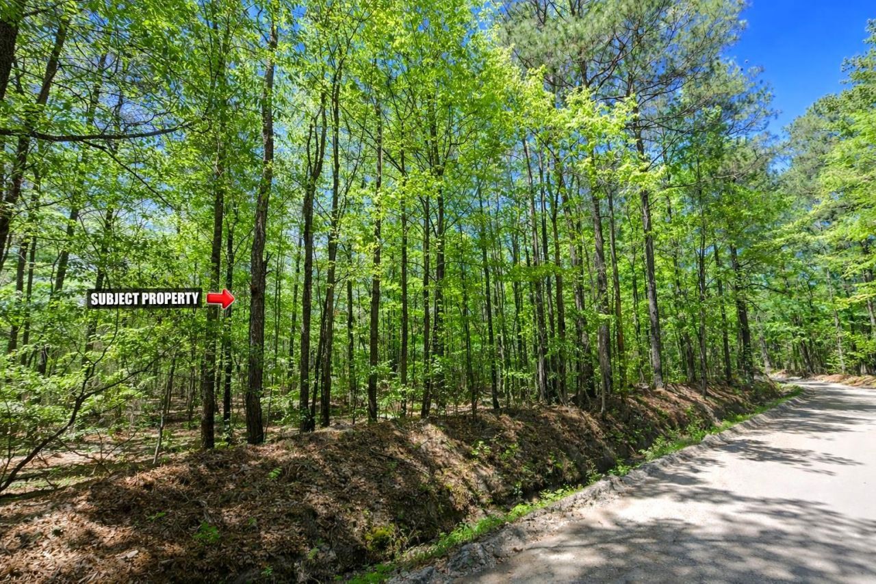 Tbd Rodman Rd.  Photo 7