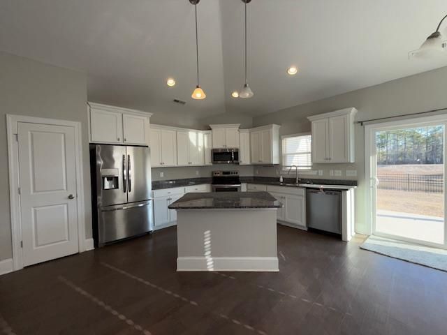 1609 Palmetto Palm Dr.  Photo 4