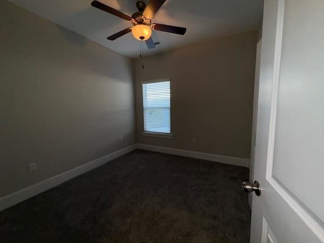 1609 Palmetto Palm Dr.  Photo 9