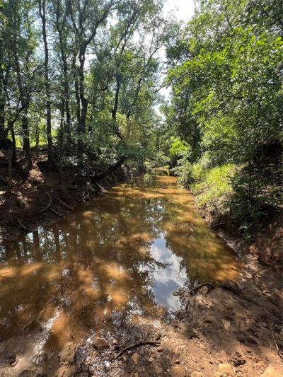 Tbd County Road 137 Road, Cisco, TX 76437 Main Photo