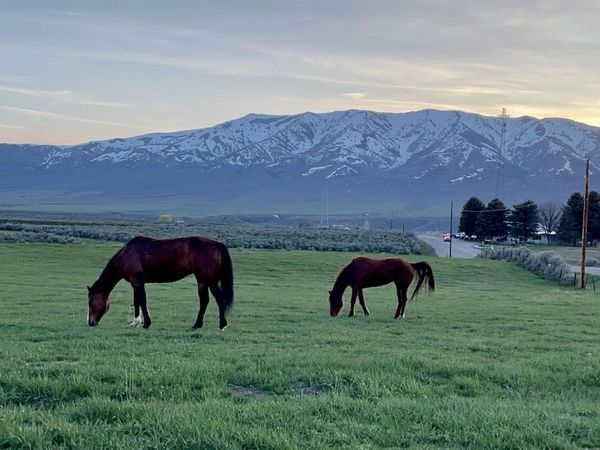 Lot A Jensen Rd, McCammon, ID 83250