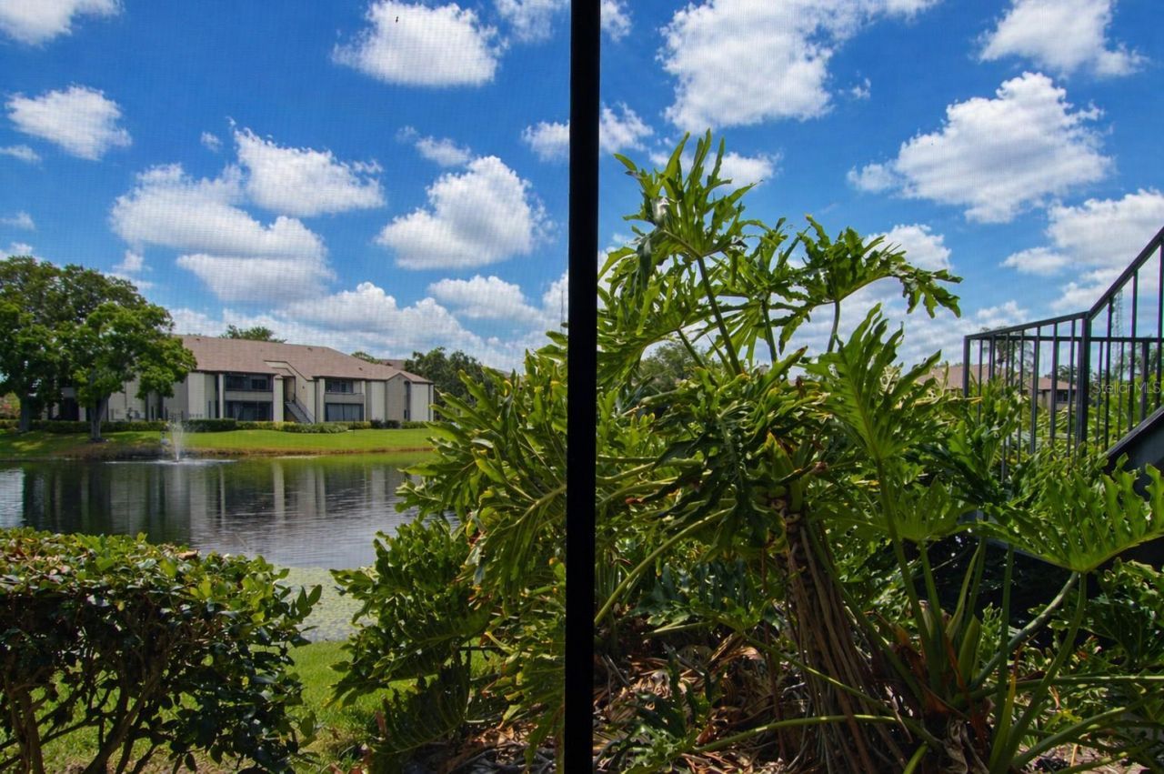 10265 Gandy Boulevard N, Unit 1511, Saint Petersburg, FL 33702 Photo