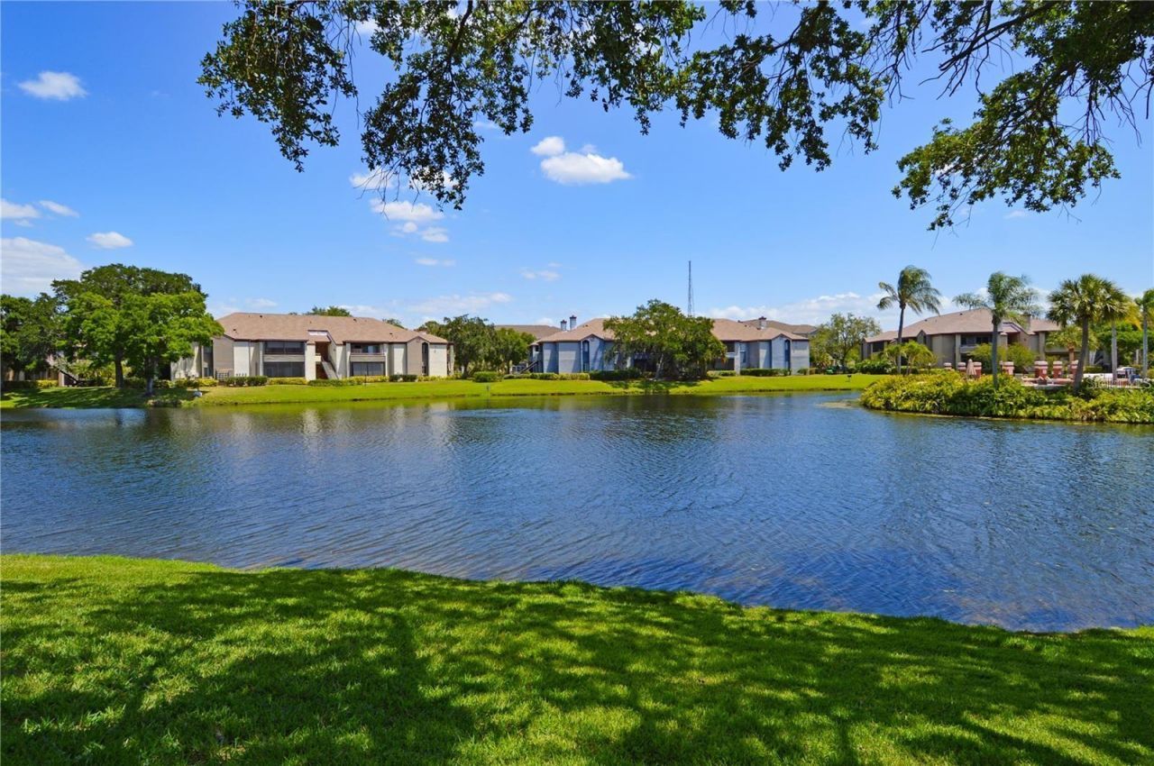10265 Gandy Boulevard N, Unit 1511, Saint Petersburg, FL 33702 Photo