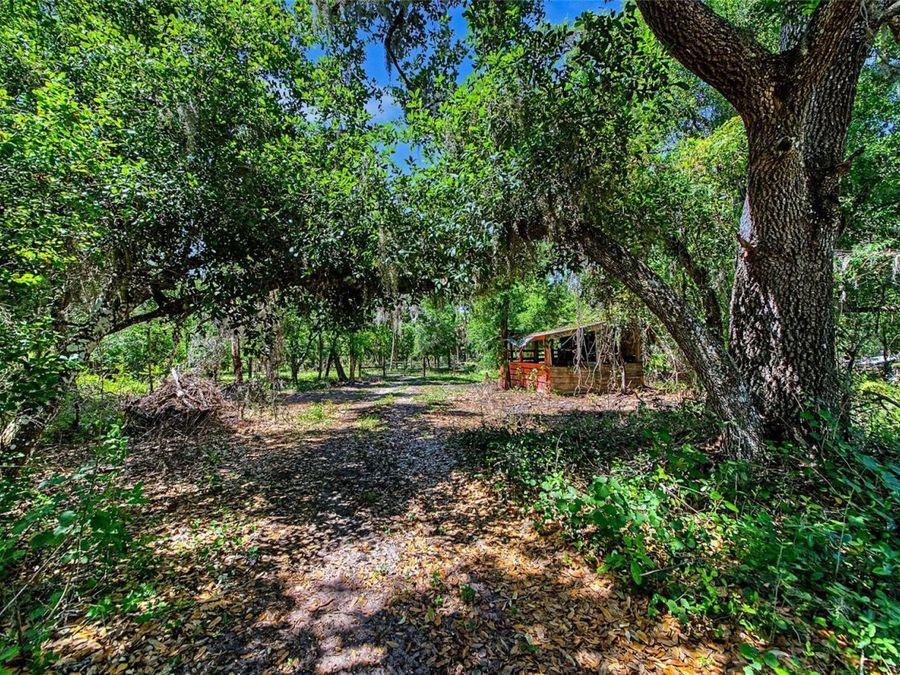 Property Image 14