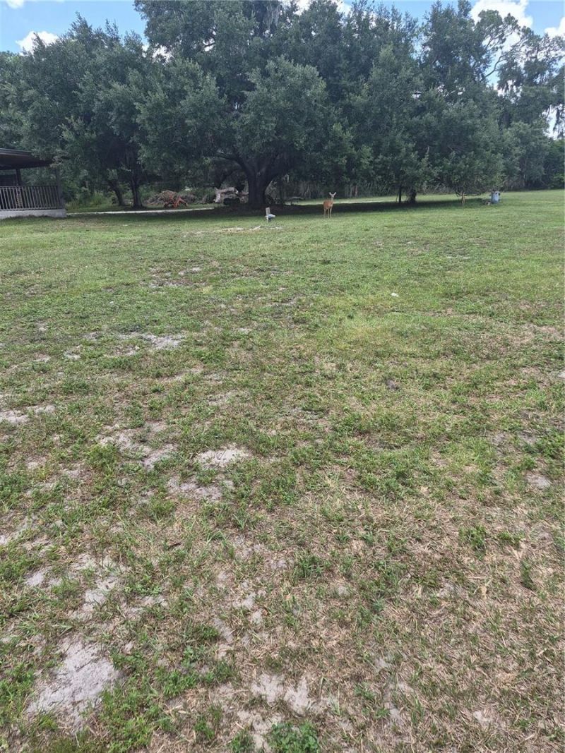15750 Wilson Road, Sarasota, FL 34240 Photo
